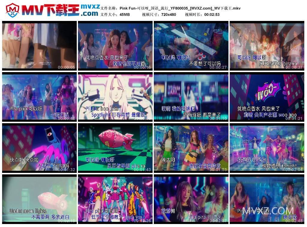 Pink Fun-可以呀_国语_流行_YF800035